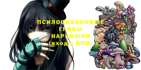 кокс Богородицк
