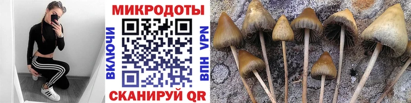 Псилоцибиновые грибы GOLDEN TEACHER  Пестово 